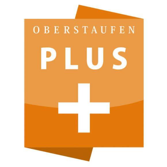 Exklusive Fewo Allgaeustern Steibis Mit Wlan Sauna Kamin Und Oberstaufen Plus Card Buitenkant foto